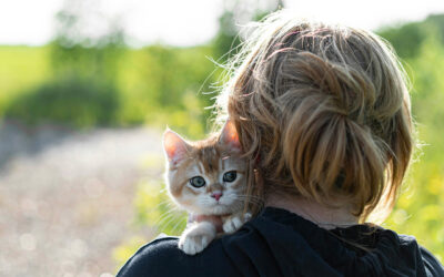 Donner ou vendre un chat